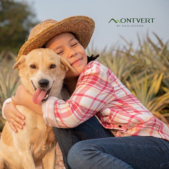 Montvert Residences